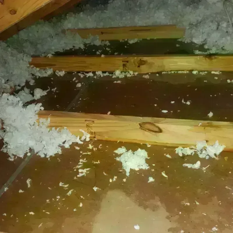 Attic Water Damage in McHenry County, ND