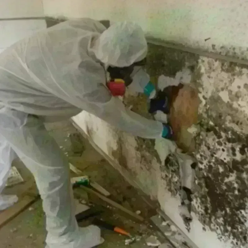 Mold Remediation and Removal in McHenry County, ND