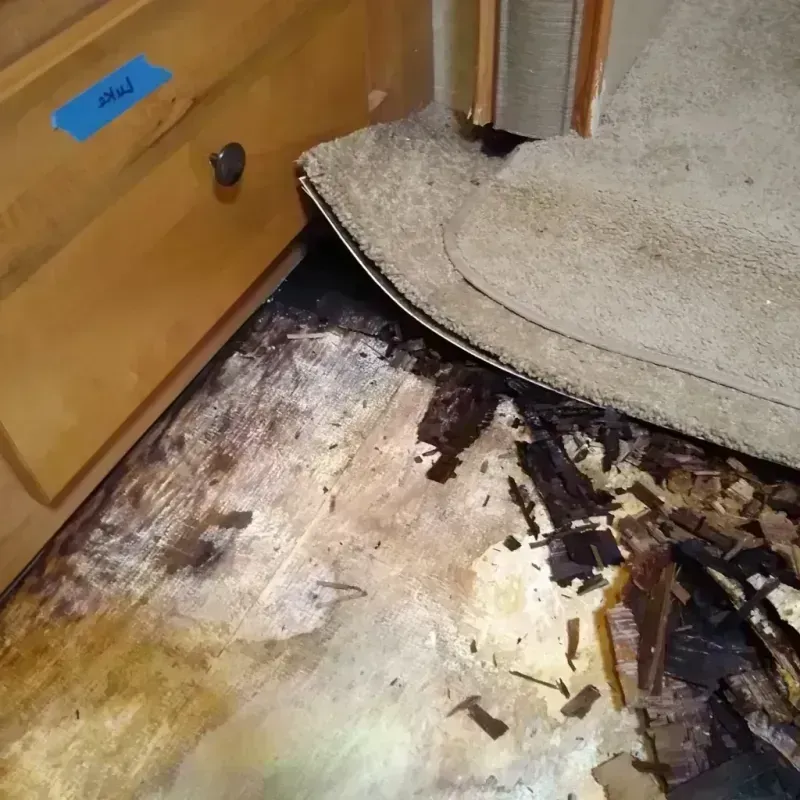 Best Wood Floor Water Damage Service in McHenry County, ND